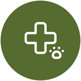 medical services icon