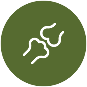orthopedic surgery icon