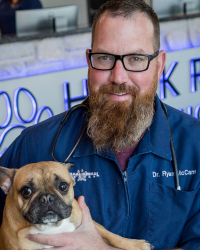 Dr. Ryan McCann