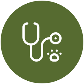 wellness exam icon green