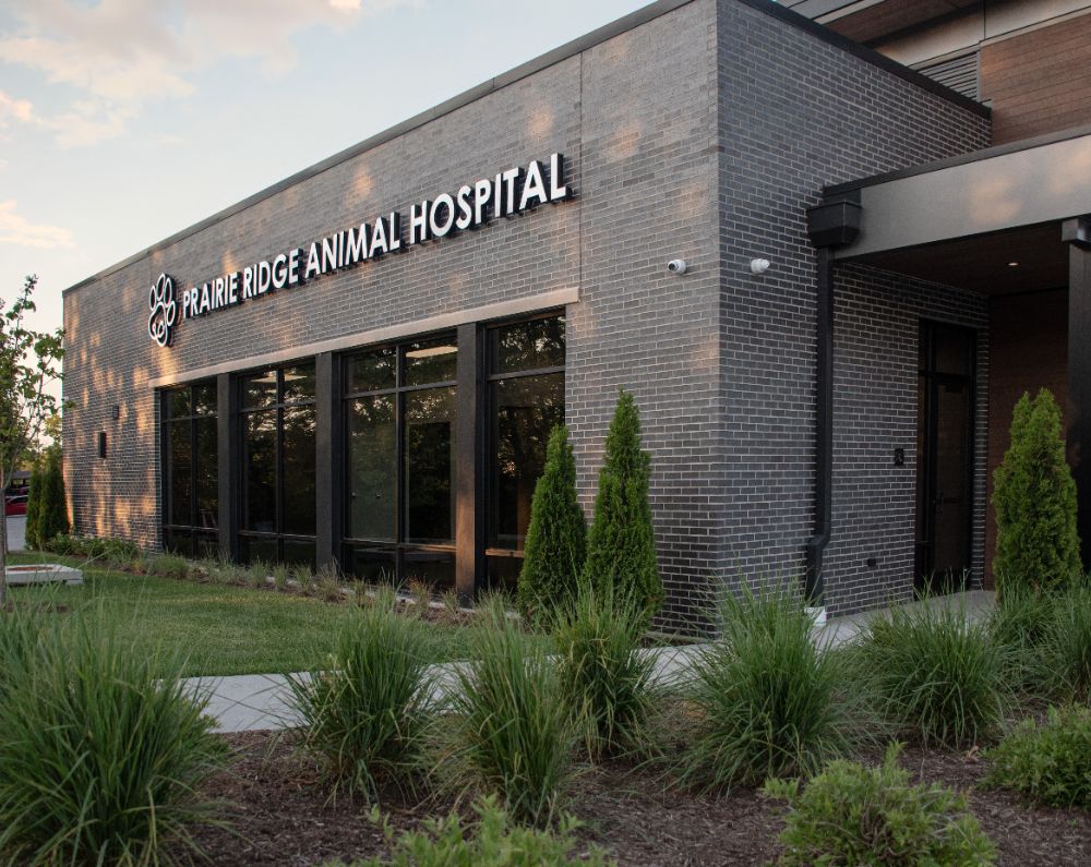 prairie ridge animal hospital entrance prairie ridge animal hospital entrance